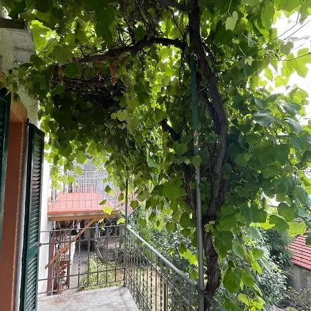 Ilovepigra Historic House Tatil Evi Pigra