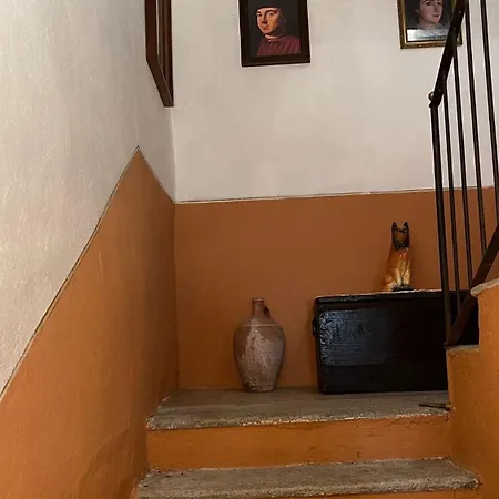 Ilovepigra Historic House Tatil Evi Pigra